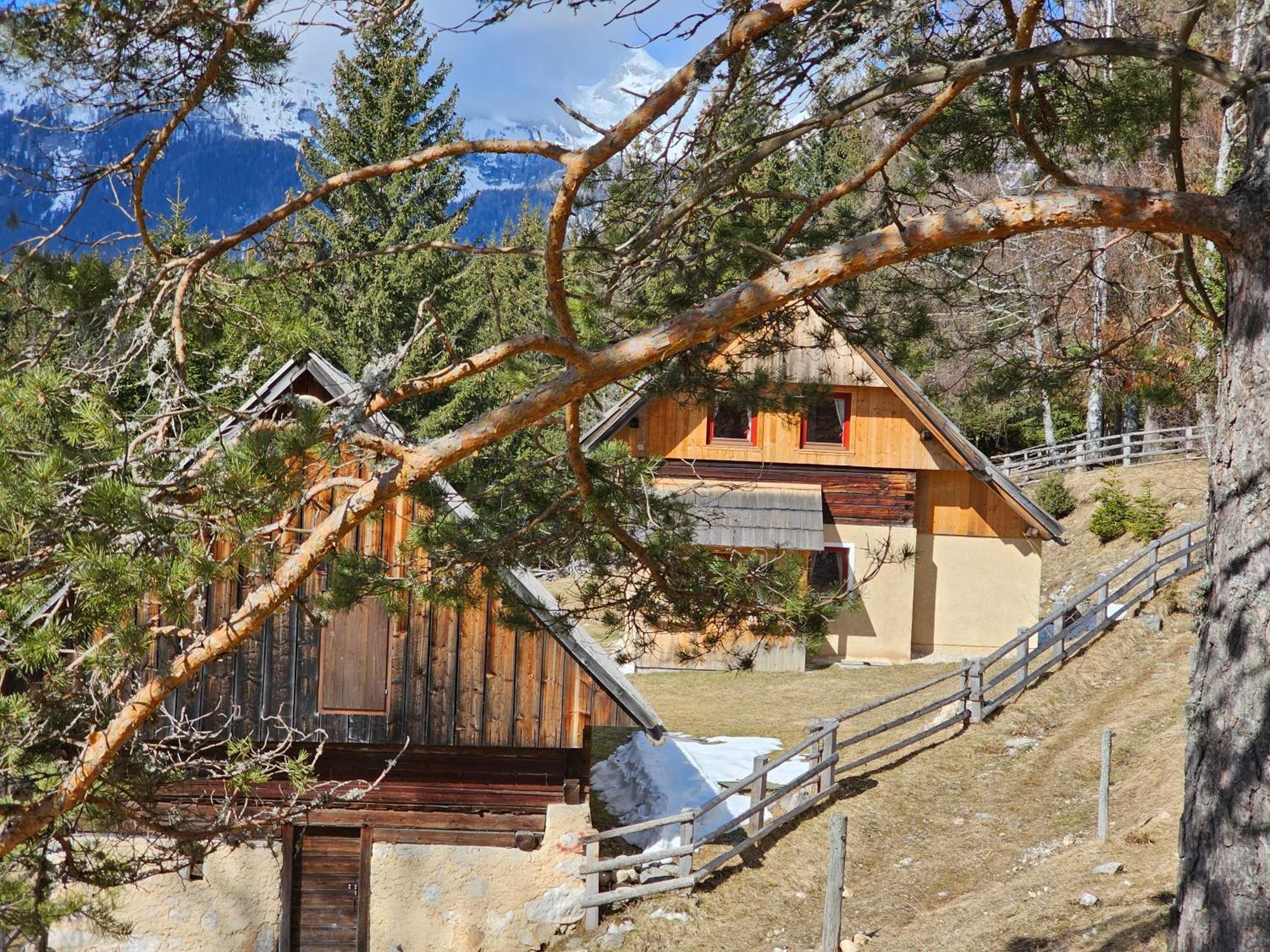 Prbajtnjeko Villa Bohinj Buitenkant foto